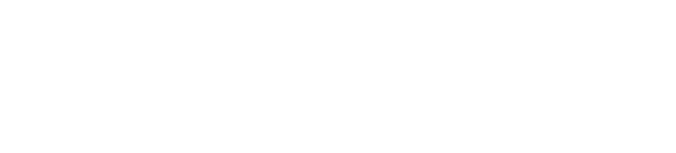 Logo Bianco Mattoncini Lego